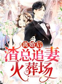 离婚后,渣总追妻火葬场