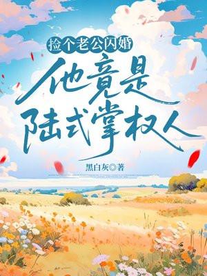 捡个老公闪婚,他竟是陆式掌权人