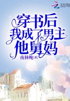 穿书后,我成了男主的舅妈